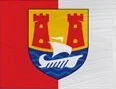 Flag of Cork