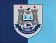 Flag of Dublin