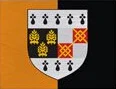 Flag of Kilkenny